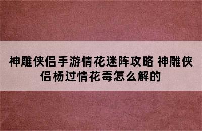 神雕侠侣手游情花迷阵攻略 神雕侠侣杨过情花毒怎么解的